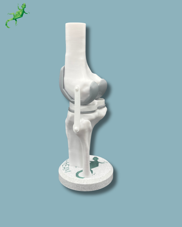 Présentoir Genou Sensibilisation Plein - Ref 04-AA-01 – Image 5