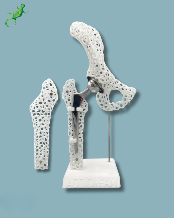 Display Hip Premium Lattice with cover - Ref 07-AL-01 - Image 2