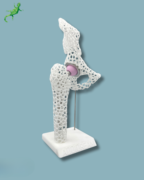 Display Hip Premium Lattice with cover - Ref 07-AL-01 - Image 10