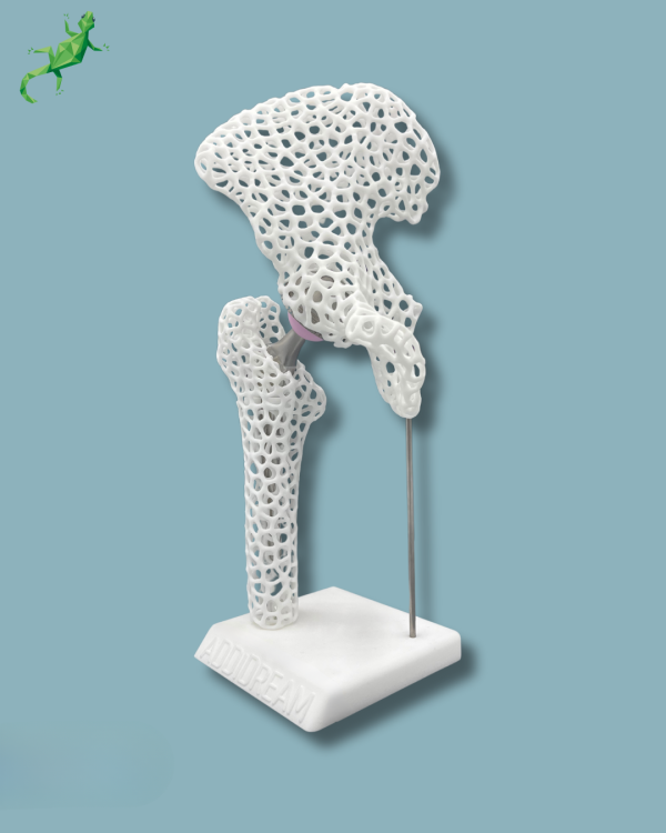 Display Hip Premium Lattice with cover - Ref 07-AL-01 - Image 11