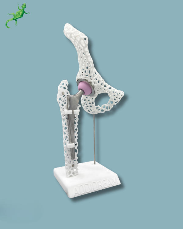 Display Hip Premium Lattice with cover - Ref 07-AL-01 - Image 3