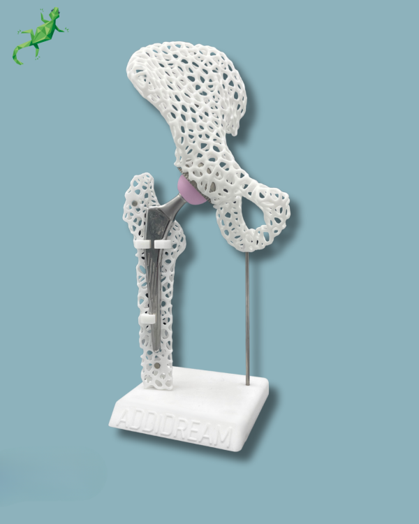 Display Hip Premium Lattice with cover - Ref 07-AL-01 - Image 6