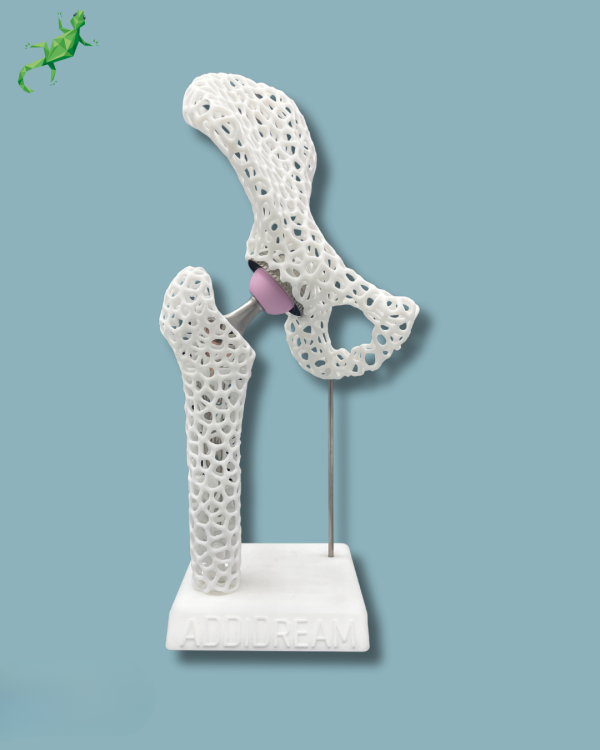 Display Hip Premium Lattice with cover - Ref 07-AL-01 - Image 9