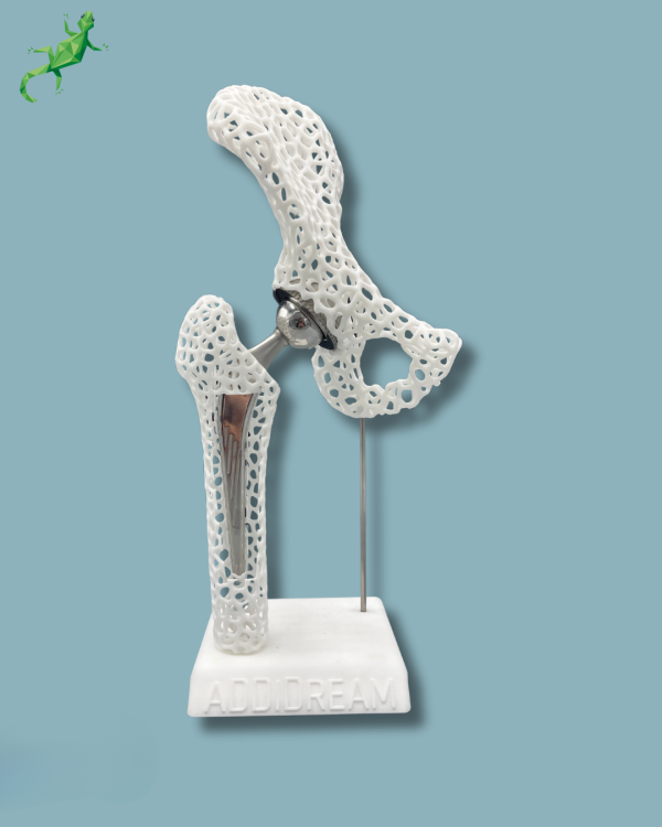Display Hip Premium Lattice with opening - Ref 07-AK-01 - Image 2