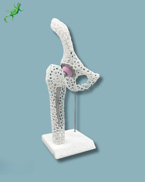 Display Hip Premium Lattice with opening - Ref 07-AK-01 - Image 4