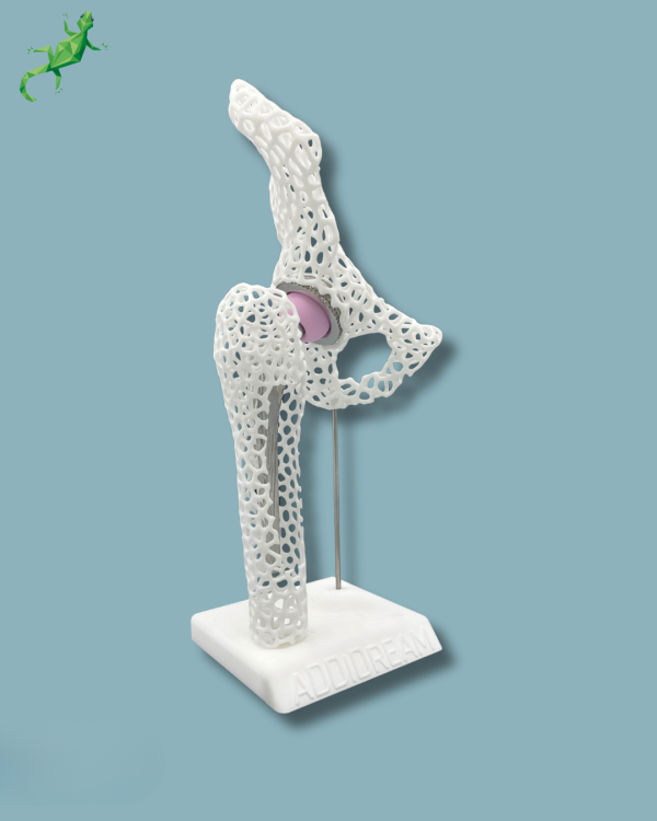 Display Hip Premium Lattice with opening - Ref 07-AK-01 - Image 3