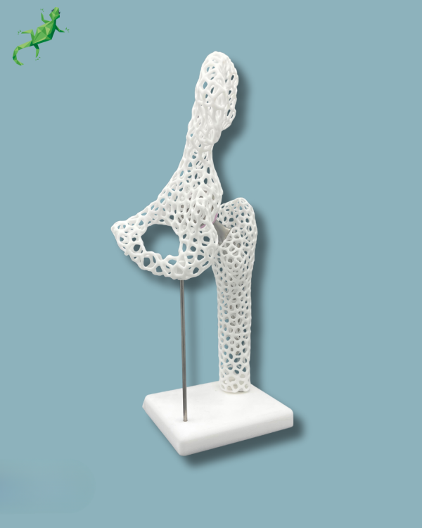 Display Hip Premium Lattice - Ref 07-AJ-01 - Image 4