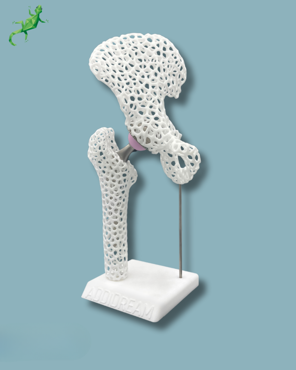 Display Hip Premium Lattice - Ref 07-AJ-01 - Image 2