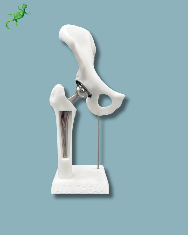 Display Hip Premium Full with window - Ref 07-AH-01 - Image 2
