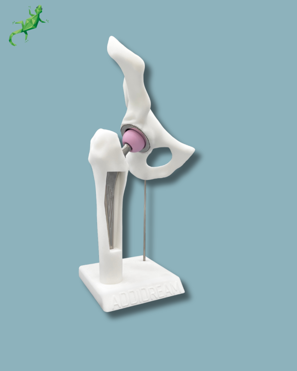 Display Hip Premium Full with window - Ref 07-AH-01 - Image 3