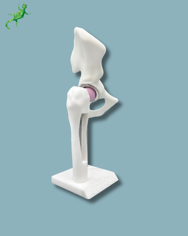 Display Hip Premium Full with window - Ref 07-AH-01 - Image 4