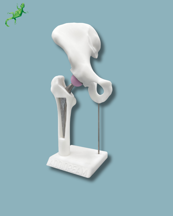 Display Hip Premium Full with window - Ref 07-AH-01 - Image 5
