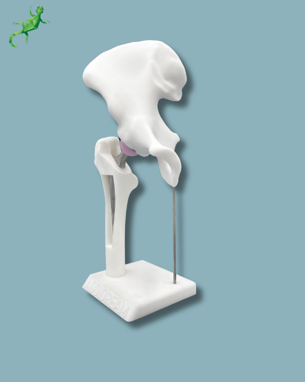 Display Hip Premium Full with window - Ref 07-AH-01 - Image 6