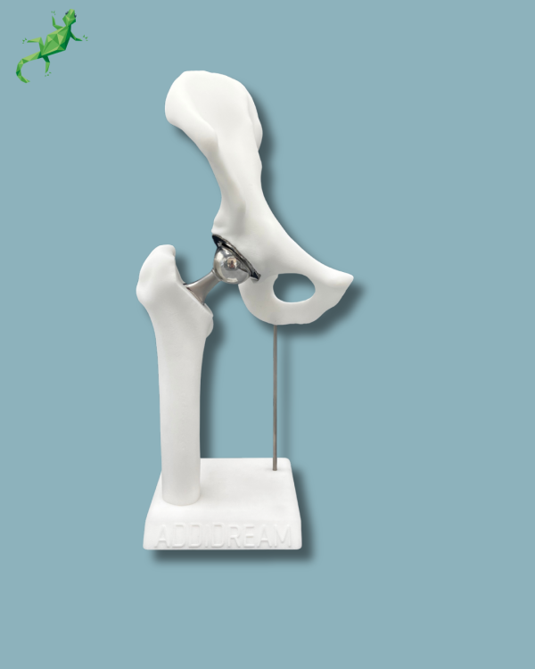 Display Hip Premium Full - Ref 07-AG-01 - Image 2
