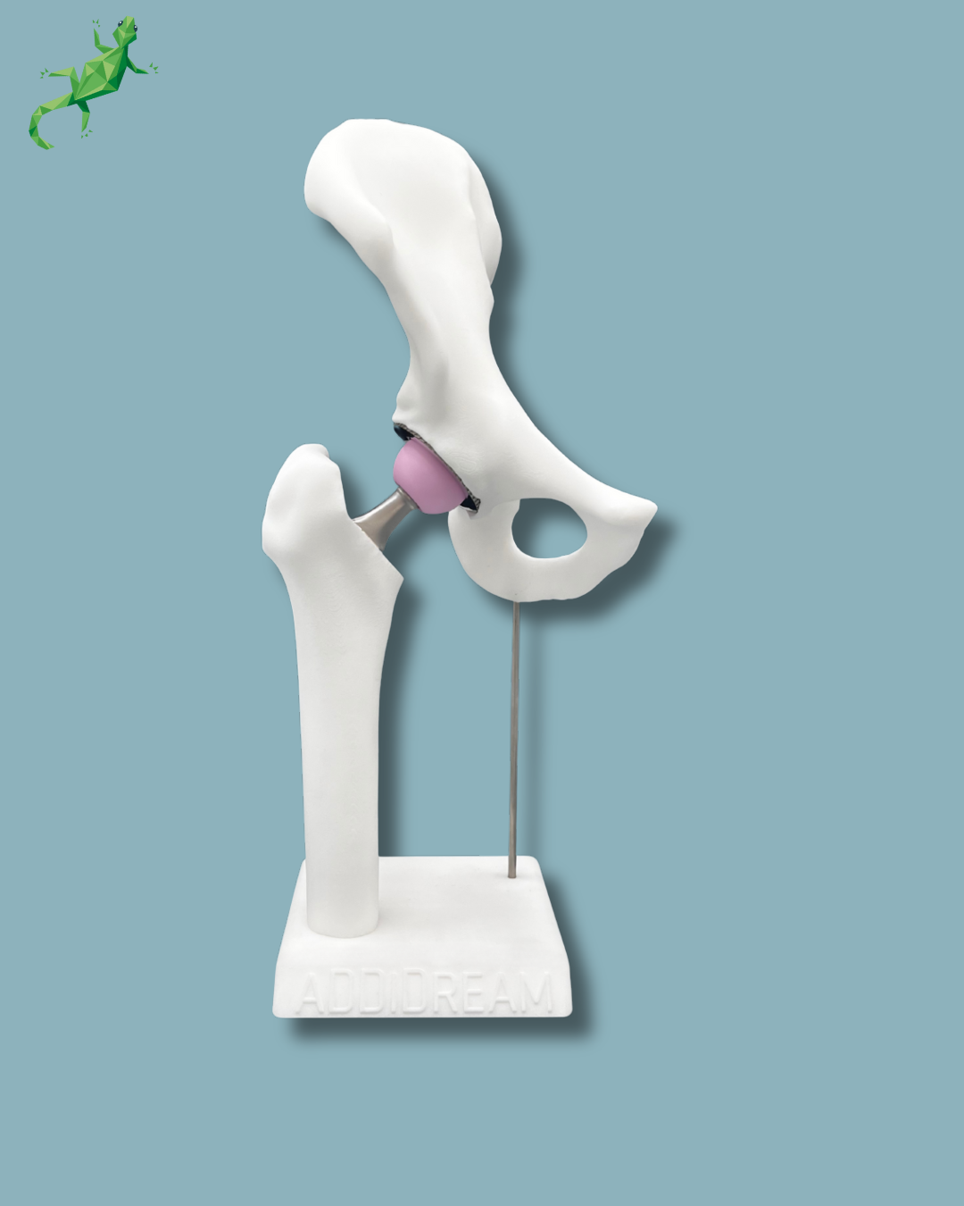 Présentoir Hanche Premium Plein Standard – Ref 07-AG-01