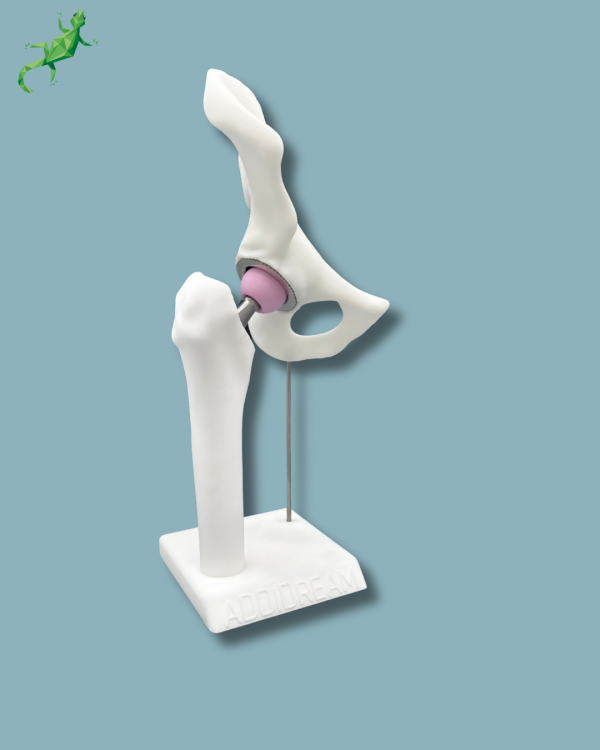 Display Hip Premium Full - Ref 07-AG-01 - Image 3