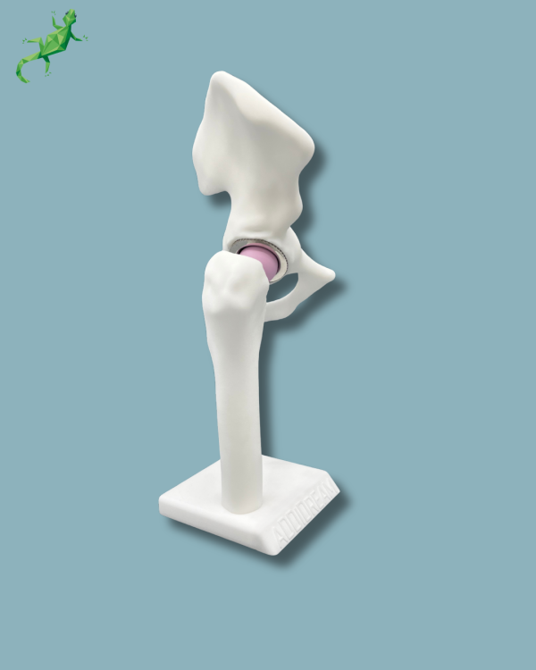 Display Hip Premium Full - Ref 07-AG-01 - Image 4