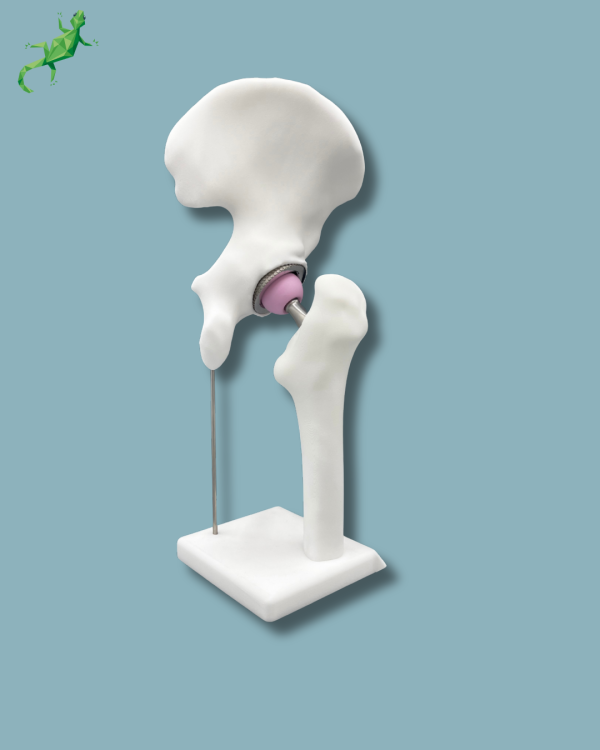 Display Hip Premium Full - Ref 07-AG-01 - Image 6