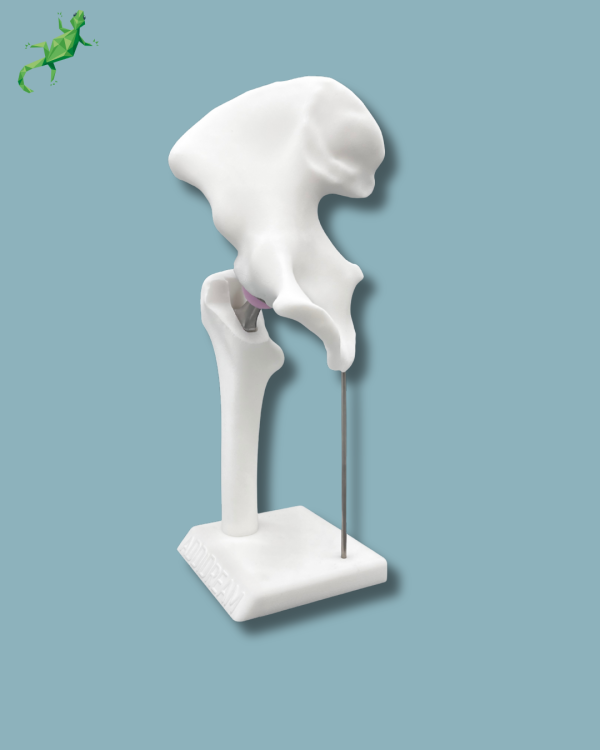 Display Hip Premium Full - Ref 07-AG-01 - Image 8