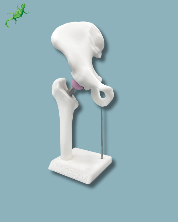 Display Hip Premium Full - Ref 07-AG-01 - Image 9
