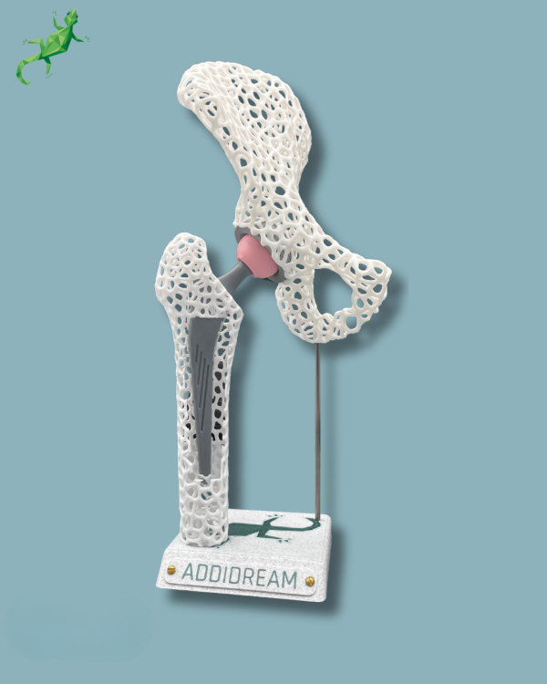 Display Hip Awareness Lattice with window - Ref 07-AE-01 - Image 5