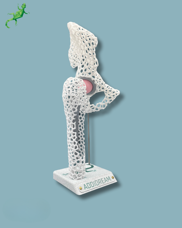 Display Hip Awareness Lattice with window - Ref 07-AE-01 - Image 4