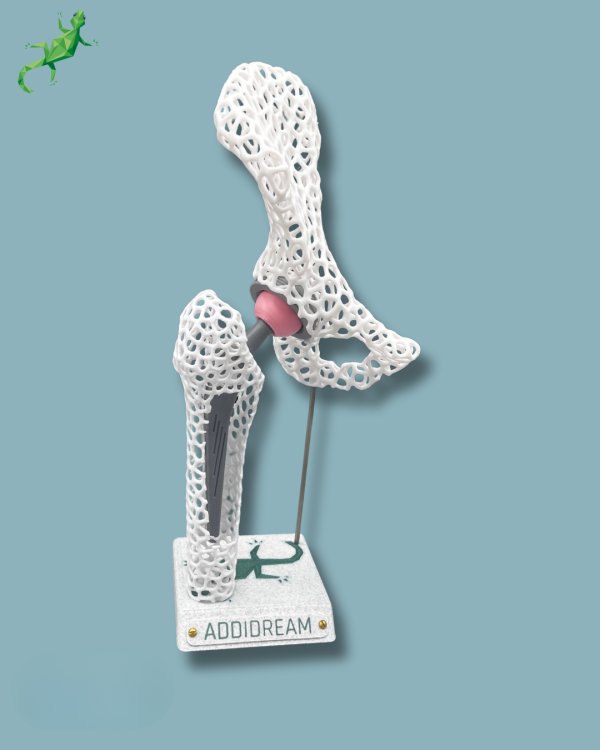 Display Hip Awareness Lattice with window - Ref 07-AE-01 - Image 3