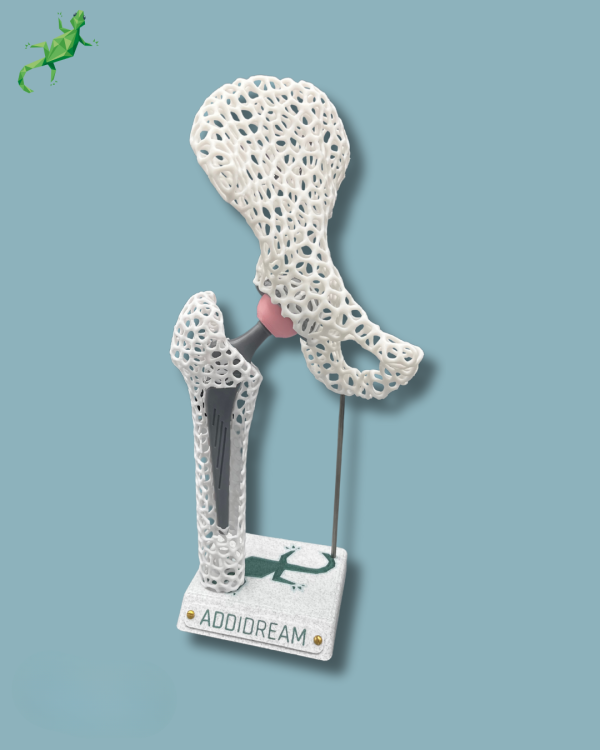 Display Hip Awareness Lattice with window - Ref 07-AE-01 - Image 2