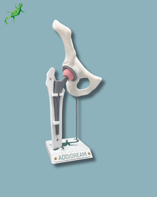 Display Hip Awareness Full with cover - Ref 07-AC-01 - Image 4