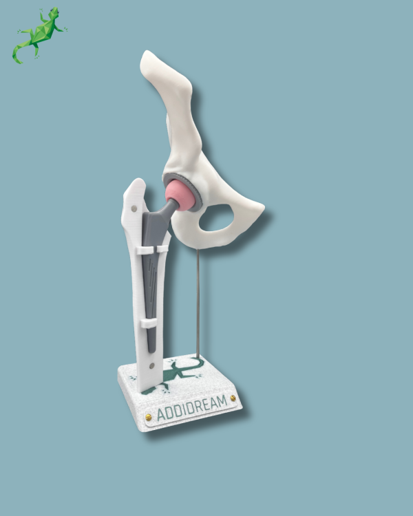 Display Hip Awareness Full with cover - Ref 07-AC-01 - Image 2