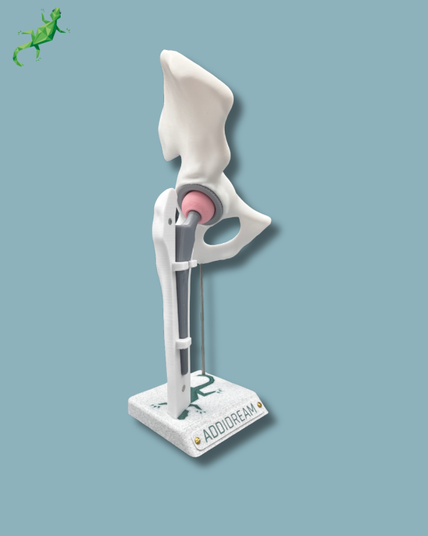 Display Hip Awareness Full with cover - Ref 07-AC-01 - Image 7