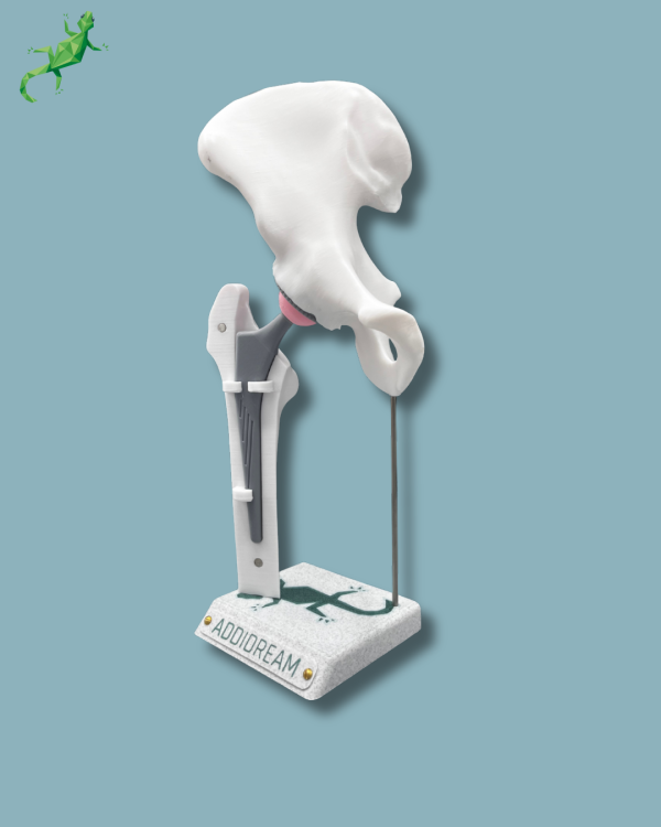 Display Hip Awareness Full with cover - Ref 07-AC-01 - Image 5