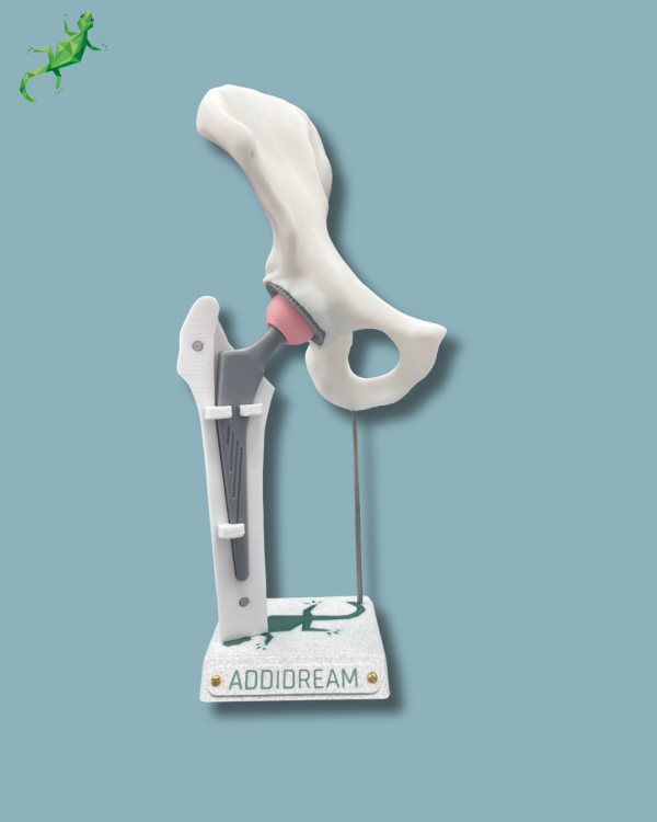 Display Hip Awareness Full with cover - Ref 07-AC-01 - Image 3