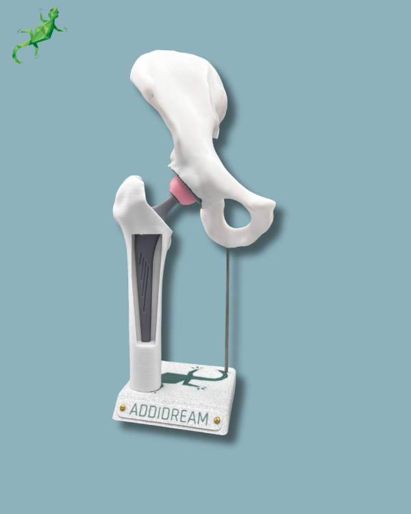 Display Hip Awareness Full with window - Ref 07-AB-01 - Image 8