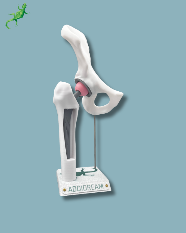 Display Hip Awareness Full with window - Ref 07-AB-01 - Image 7
