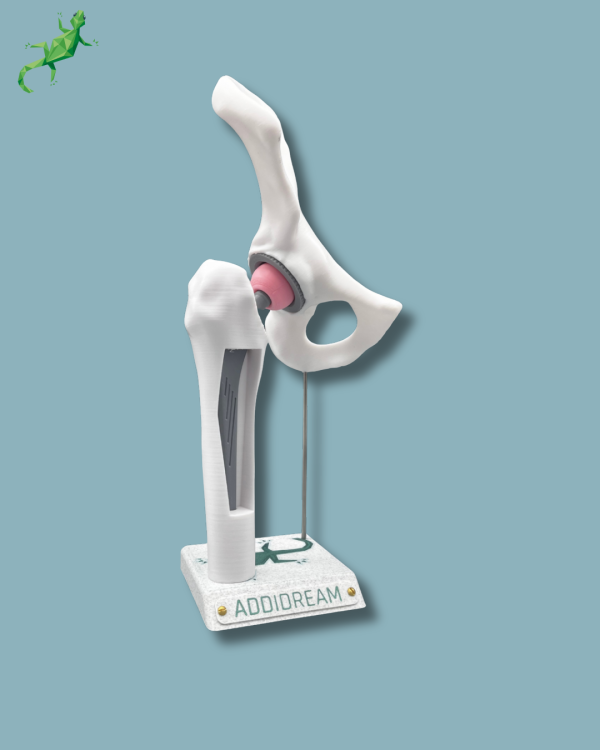 Display Hip Awareness Full with window - Ref 07-AB-01 - Image 5