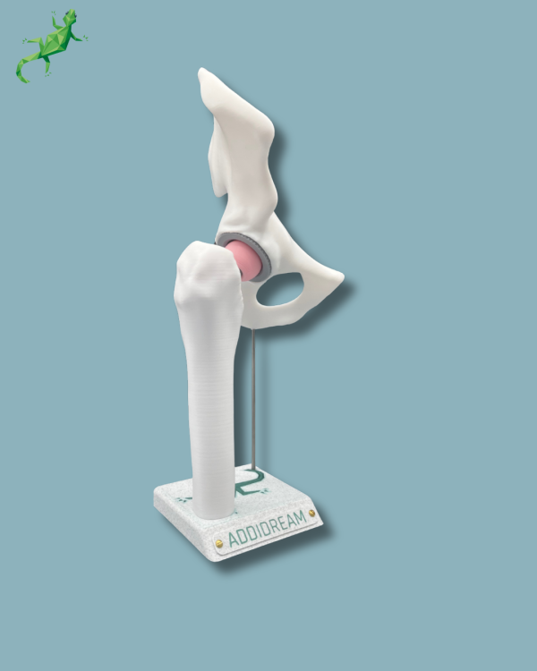 Présentoir Hanche Sensibilisation Plein - Ref 07-AA-01 – Image 7