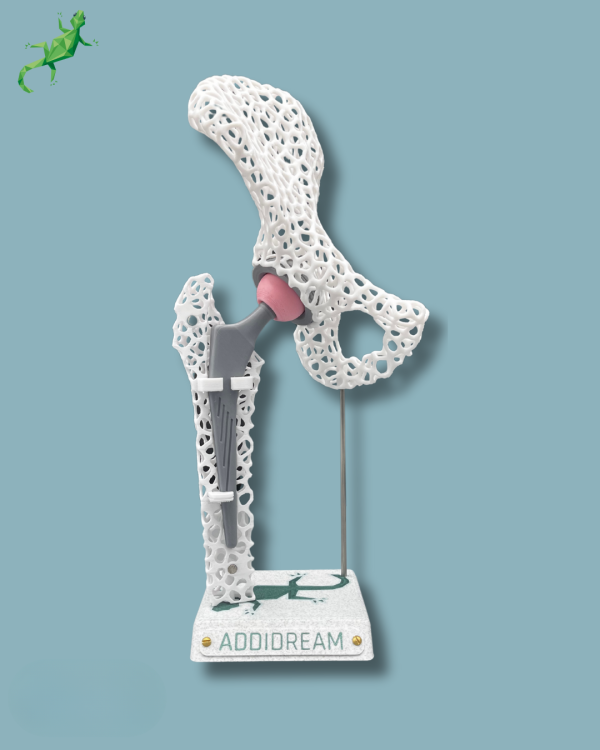 Display Hip Awareness Lattice with cover - Ref 07-AF-01 - Image 2