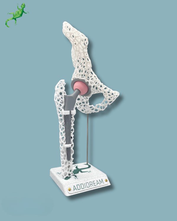 Display Hip Awareness Lattice with cover - Ref 07-AF-01 - Image 3