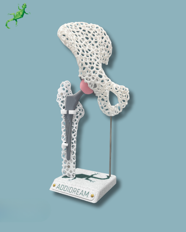Display Hip Awareness Lattice with cover - Ref 07-AF-01 - Image 7
