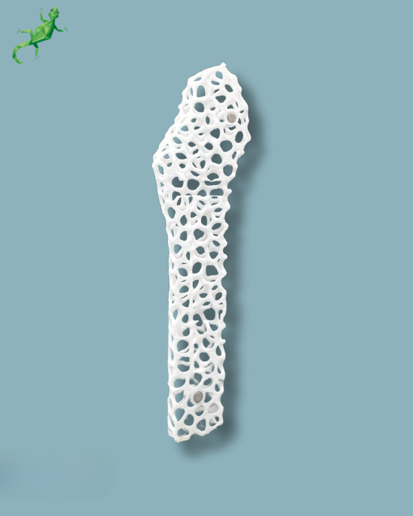 Display Hip Awareness Lattice with cover - Ref 07-AF-01 - Image 8