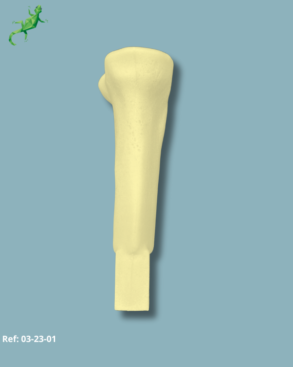 Tibia Proximal / Addi-CAN Addi-CLAMP - Ref 03-23-01 – Image 2