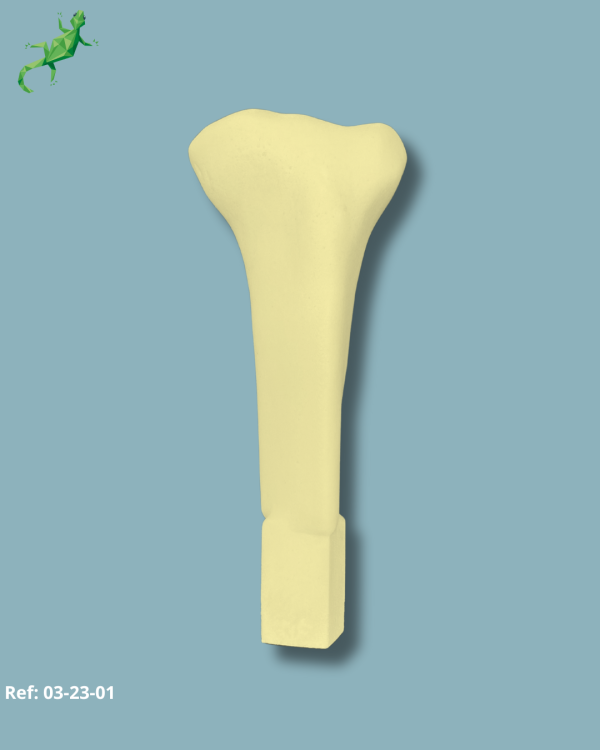 Tibia Proximal / Addi-CAN Addi-CLAMP - Ref 03-23-01