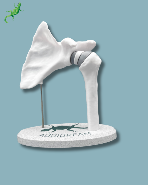 Présentoir Épaule Sensibilisation Plein - Ref 17-AA-01 – Image 3
