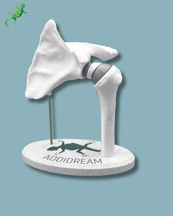 Présentoir Épaule Sensibilisation Plein - Ref 17-AA-01 – Image 11