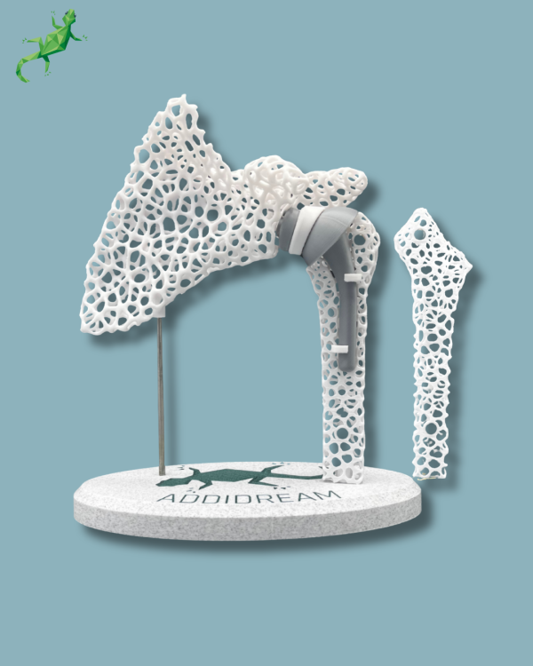 Display Shoulder Awareness Lattice with Cover - Ref 17-AF-01