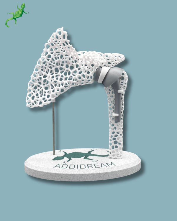 Display Shoulder Awareness Lattice with Cover - Ref 17-AF-01 - Image 2