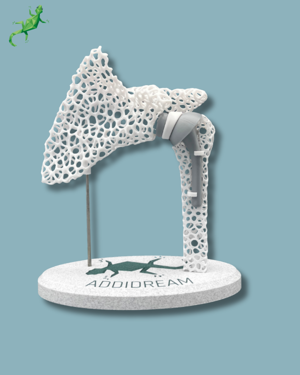 Display Shoulder Awareness Lattice with Cover - Ref 17-AF-01 - Image 10