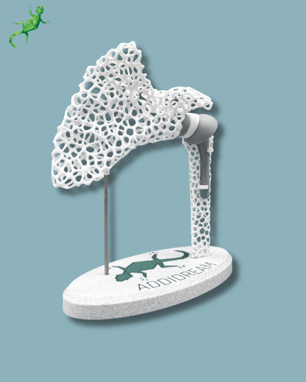 Display Shoulder Awareness Lattice with Cover - Ref 17-AF-01 - Image 9