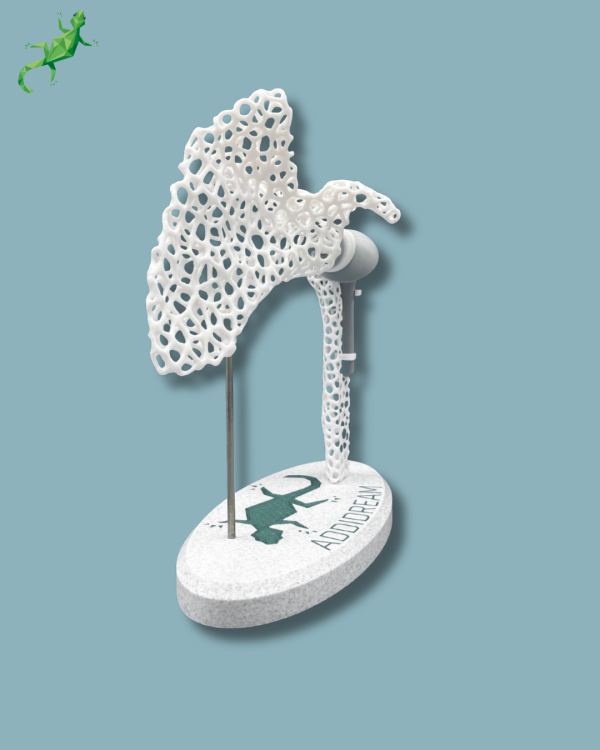 Présentoir Épaule Sensibilisation Lattice avec Capot - Ref 17-AF-01 – Image 8